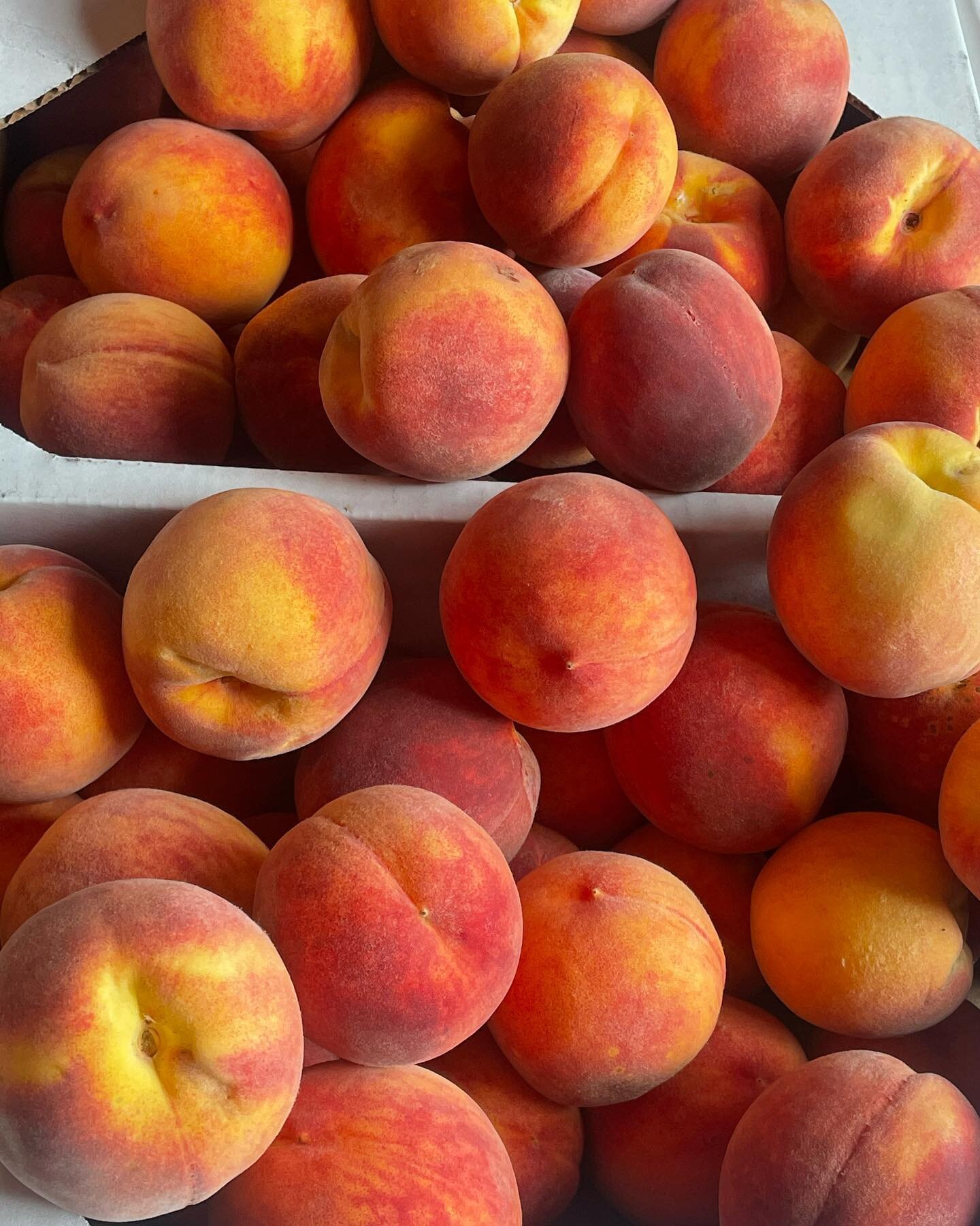 These gorgeous, ripe, delicious peaches 🍑🍑🍑 just arrived from The Locust Grove (Albion, ME)!!
For sale by the pound in the store or you can enjoy them on Sunday in the Peach Belllinis we are serving during Music &amp; Mimosas. 🍑🥂🎼along with Ba