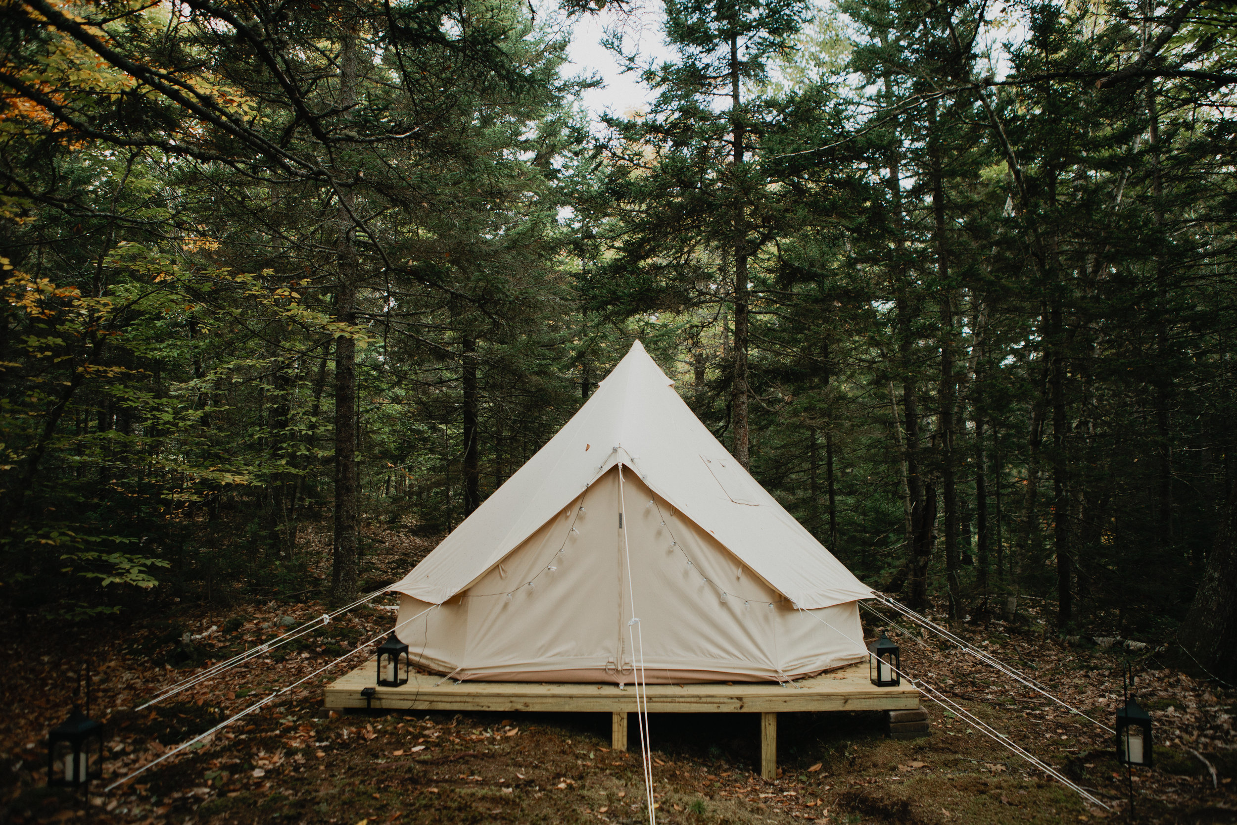 WildGrace-6.jpg