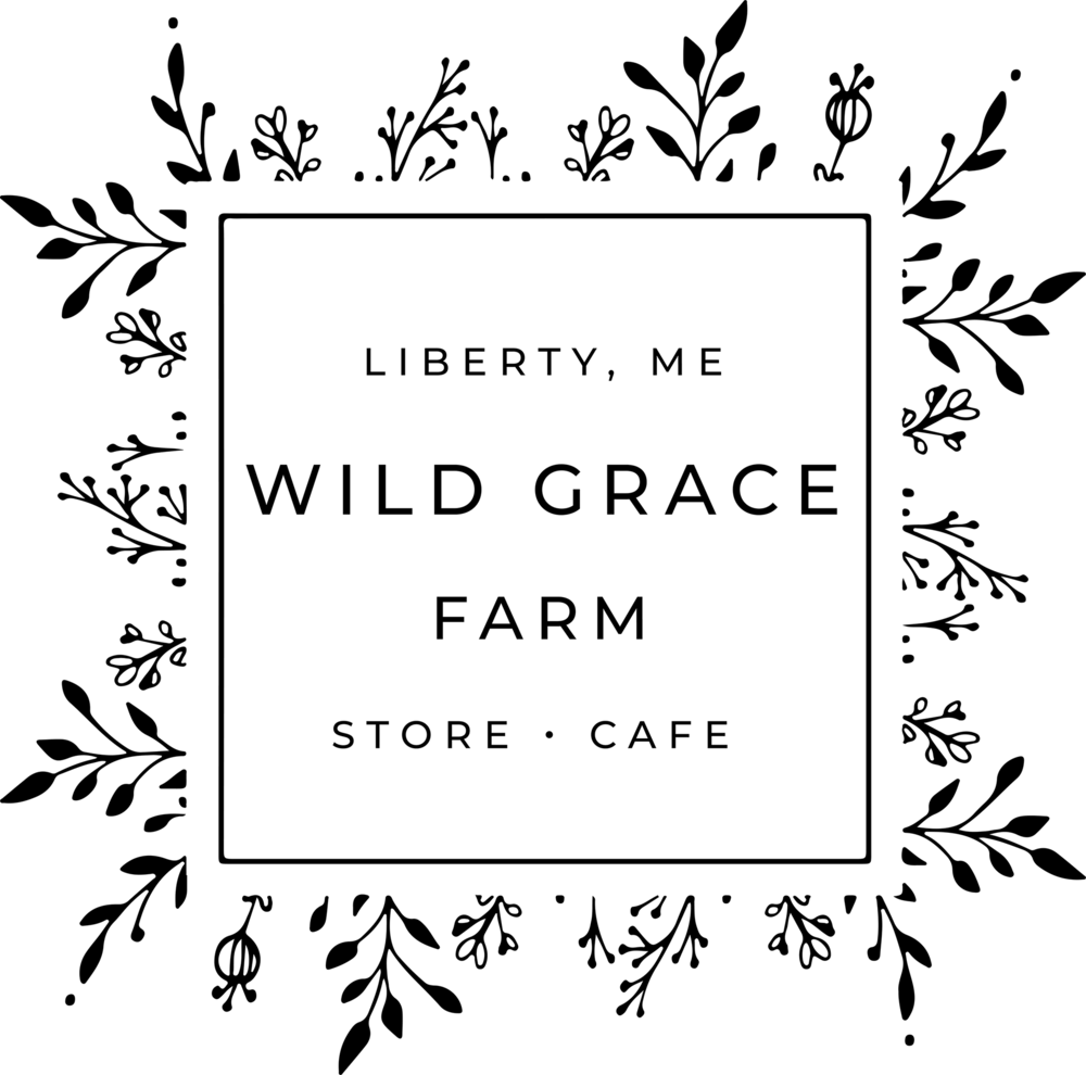 web 2 logo.png